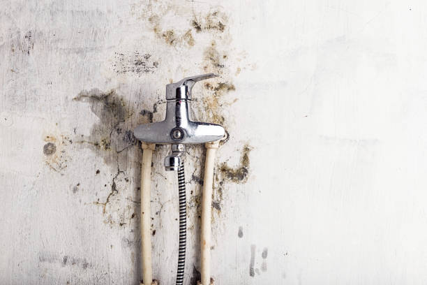 Best Mold Removal Near Me  in Salem, UT