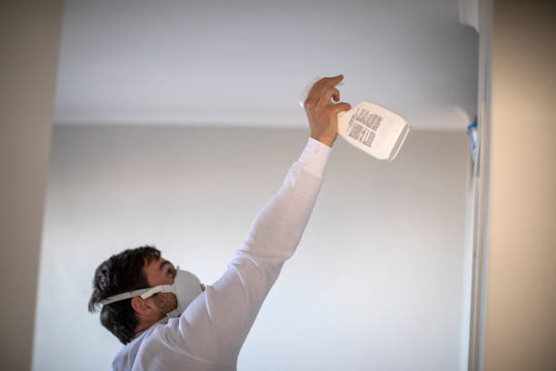 Best Fast Mold Removal  in Salem, UT